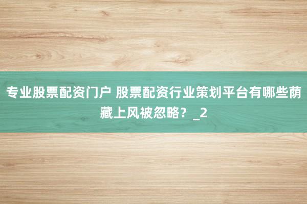 专业股票配资门户 股票配资行业策划平台有哪些荫藏上风被忽略？_2