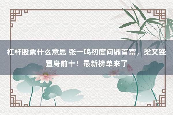 杠杆股票什么意思 张一鸣初度问鼎首富，梁文锋置身前十！最新榜单来了
