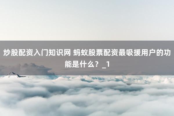 炒股配资入门知识网 蚂蚁股票配资最吸援用户的功能是什么？_1
